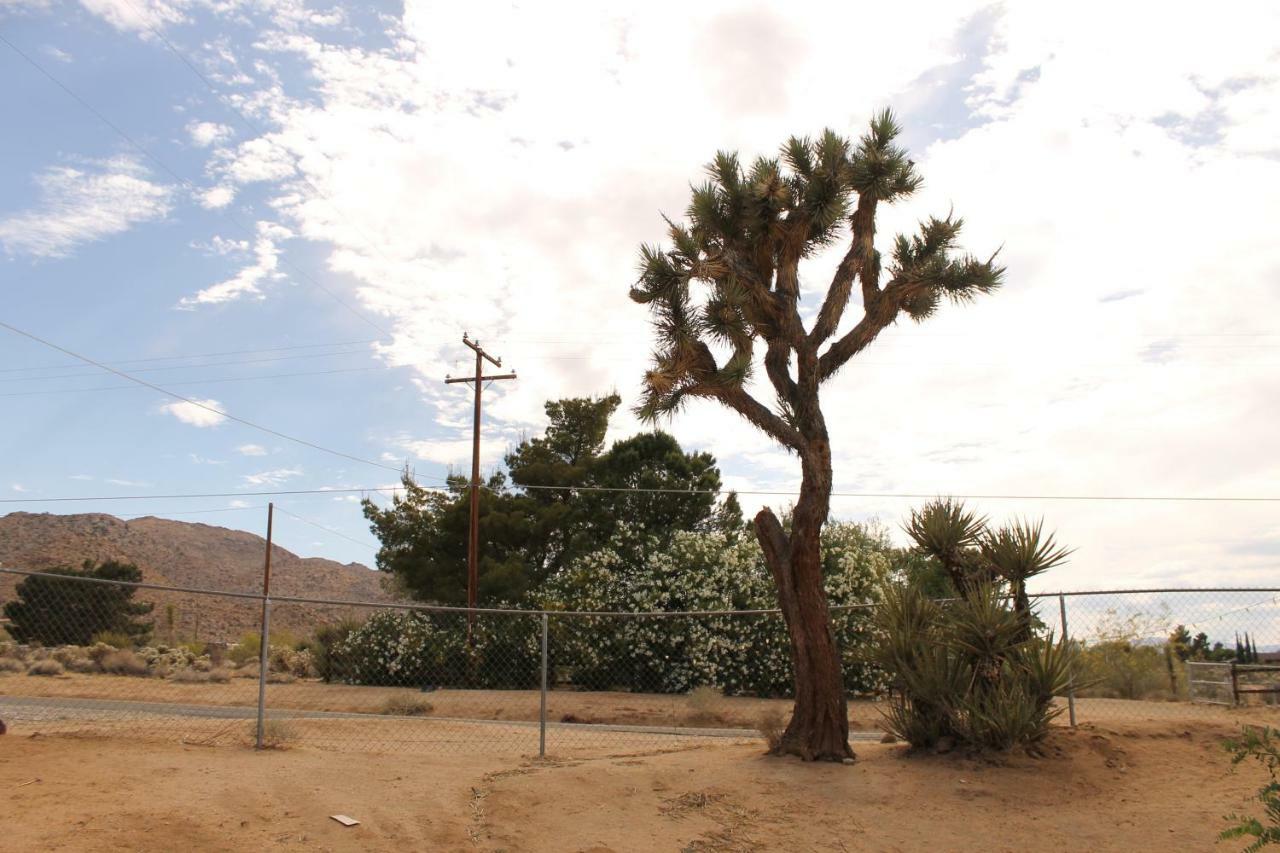 Vila Eclectic Joshua Tree Exteriér fotografie